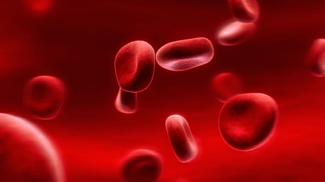 повышенны эритроциты в крови у ребенка