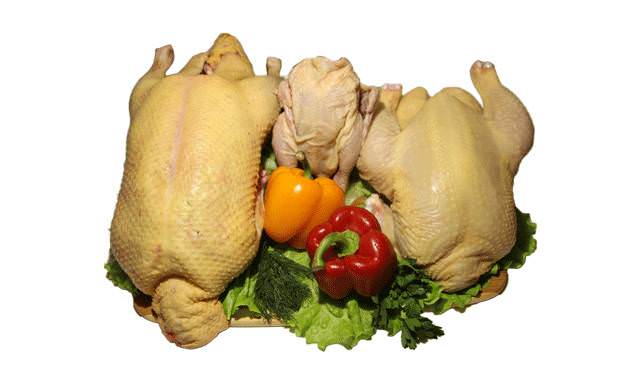 Мясо птицы: курица, индейка