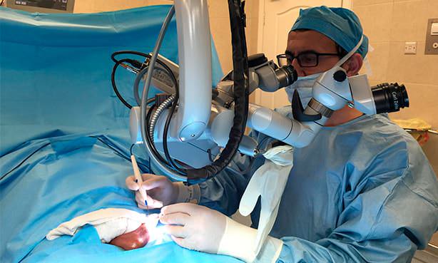 Хирург выполняет операцию на яичке с помощью микроскопа