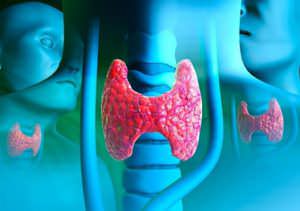 Нормальные значения гормонов щитовидной железы