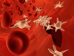 Нормальный уровень тромбоцитов у женщин в крови