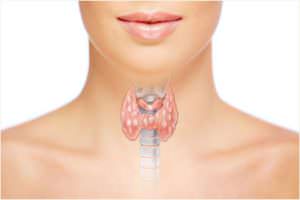 Как расшифровать анализ на гормональный фон щитовидной железы