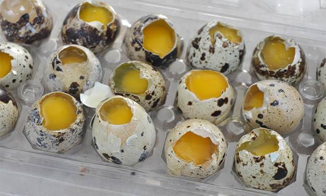 Сырые яйца перепелов