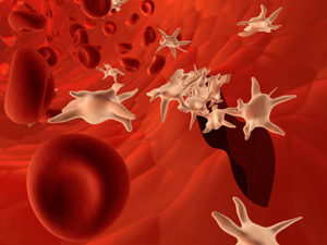 Пониженные тромбоциты в анализе крови у взрослых и детей