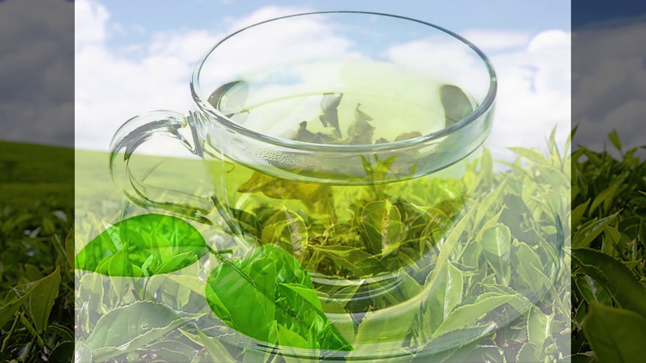 Чем полезен зеленый чай для организма. Зеленый чай для потенции. Влияние зеленого чая на давление. Рекомендации по употреблению зеленого чая. Чайная олива.