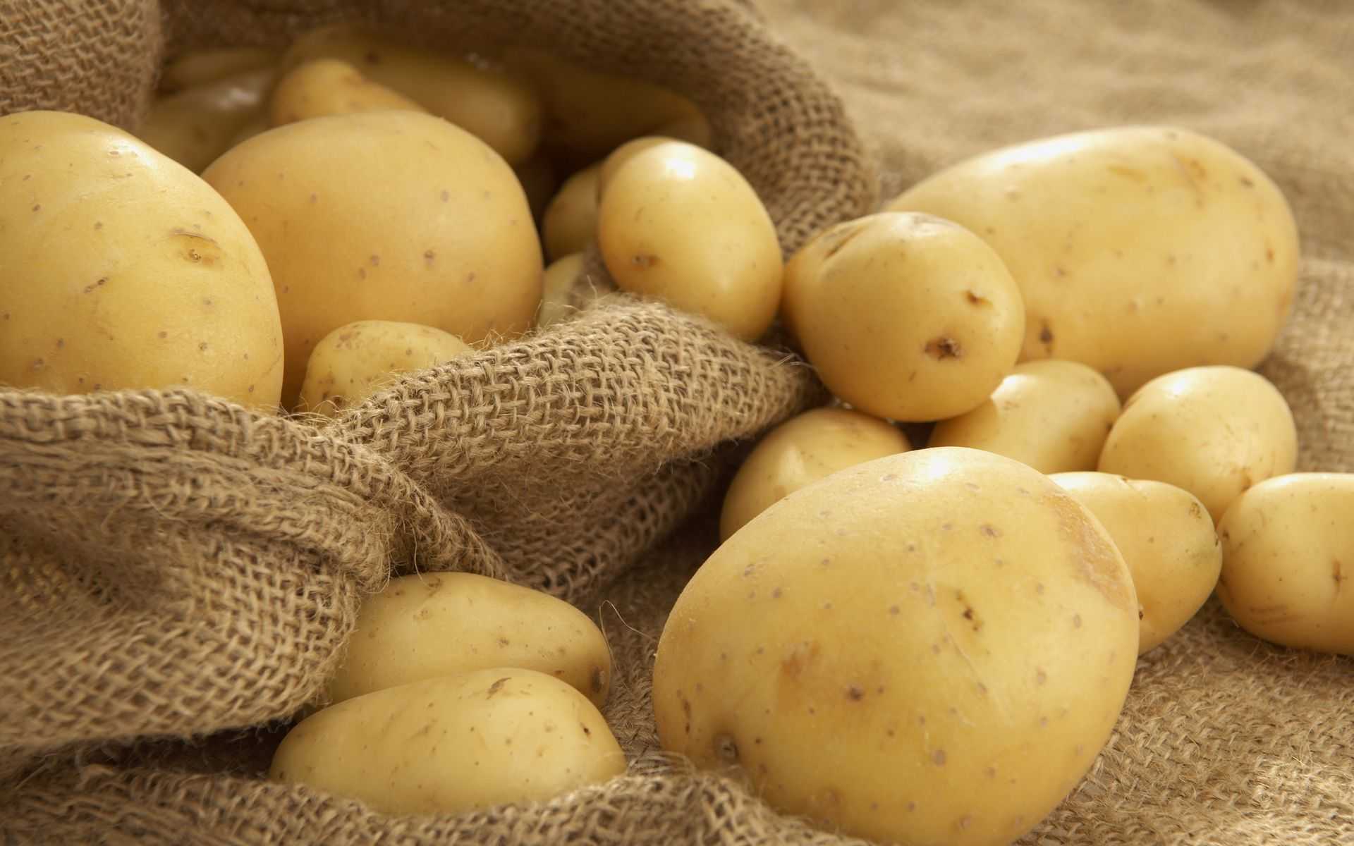 Условная польза картофеля